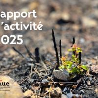 Couverture du rapport d'activité 2025