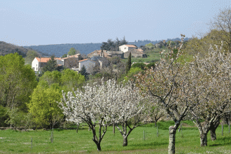 Vélieux
