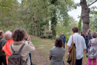 Groupe lors des rencontres nationales des acteurs des allées d’arbres