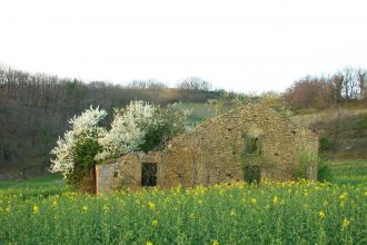 Ruine dans le Gers
