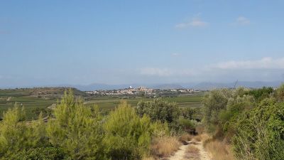 Vue sur Puissalicon depuis le Pech Bellonet.