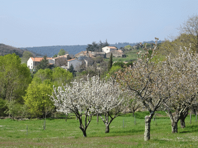Vélieux