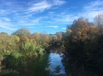 Les bords du Lez. Crédit photo : LC, CAUE 34