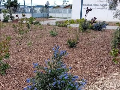 Vue jardin_Collège_Rosa PArks