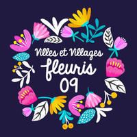 logo VVF