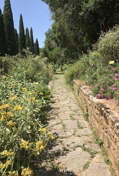 Jardin des plantes, Montpellier. Crédit photo : Sylvaine Glaizol / CAUE 34