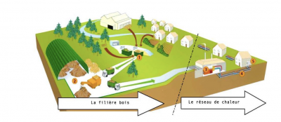 Filière réseau de chaleur bois énergie
