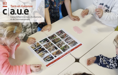 Rapport d'activité du CAUE 82