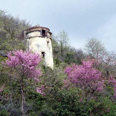 Pigeonnier entouré d'arbre de judée en fleur (Lot)