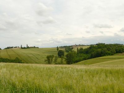 Coteaux sud du Lauragais, Montgeard