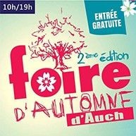 Vue aérienne d'un castelnau en Ténarèze