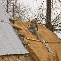 Mise en œuvre du chaume à Ercé, Ariège