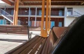 Tu l'as vu mon collège ? 2015/2016